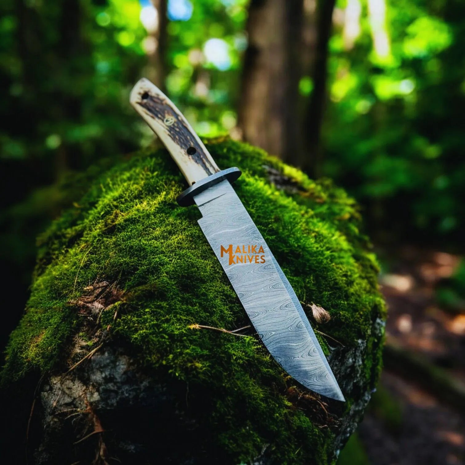 Damascus Stag Handle Bowie Knife Full Tang
