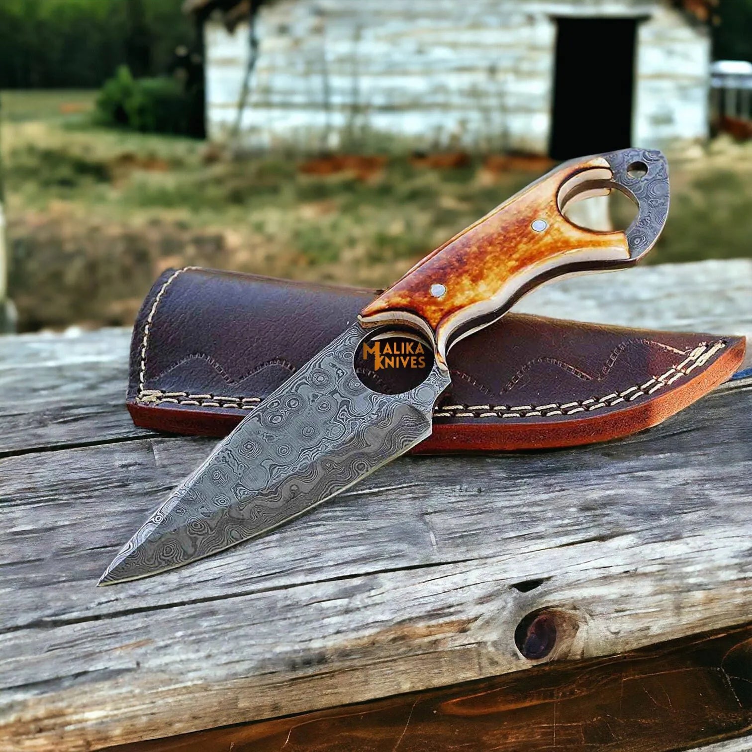 Ringtail Damascus Hunting Knife Camel Bone Handle