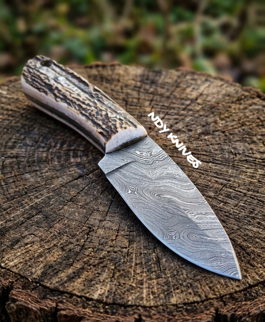 8" Hand-Forged Damascus Steel Skinner Knife – Professional Deep-Belly Blade with Authentic Stag Handle & Leather Sheath