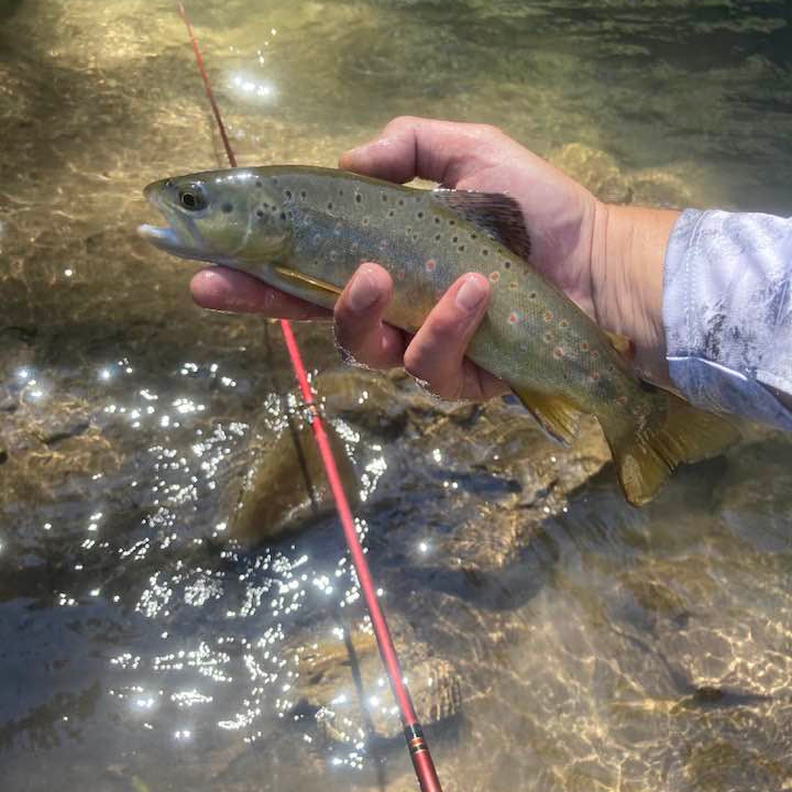 Akai Samurai Triple Zoom Tenkara Rod 11–13 ft