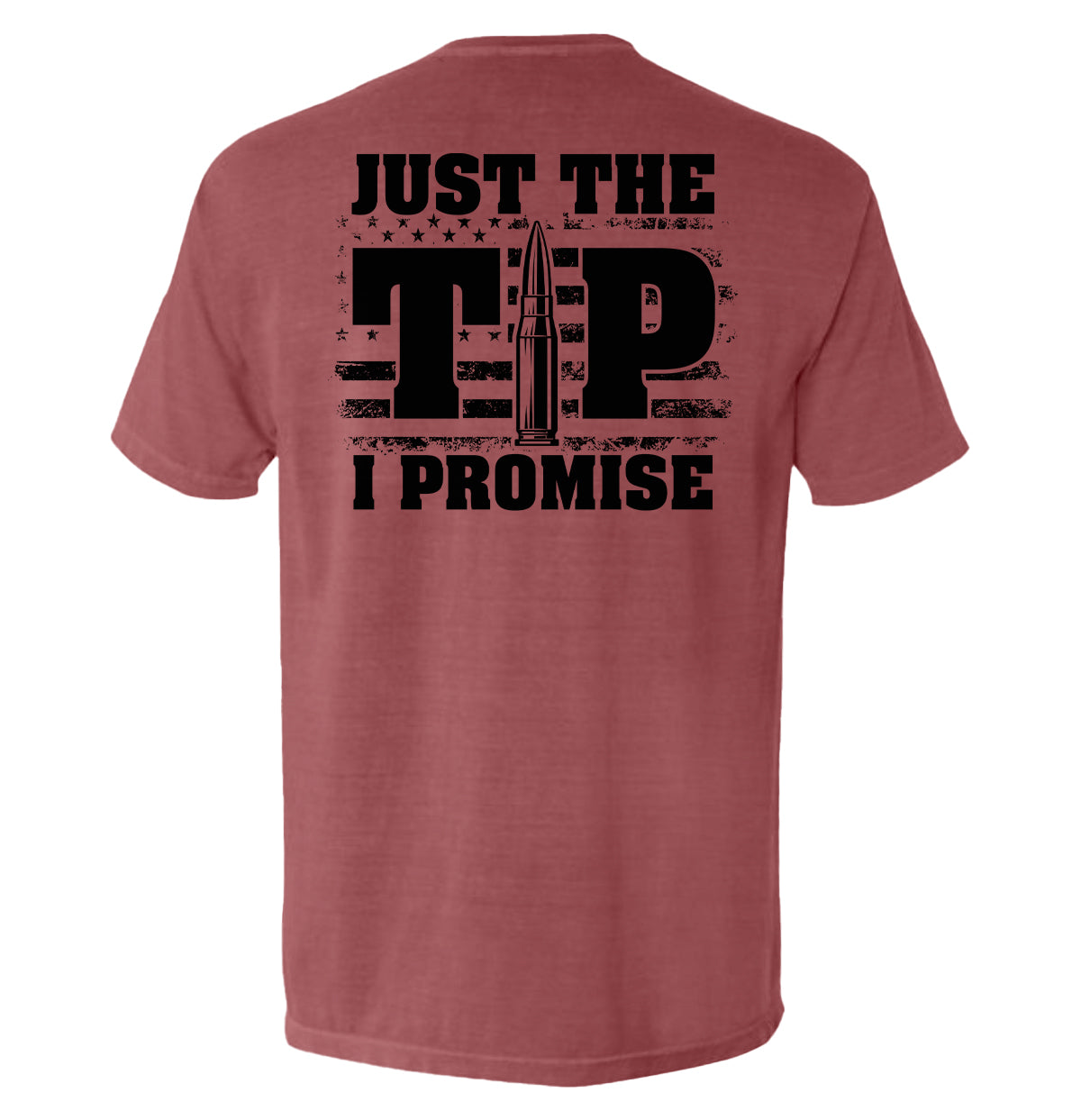 Just The Tip I Promise Flag