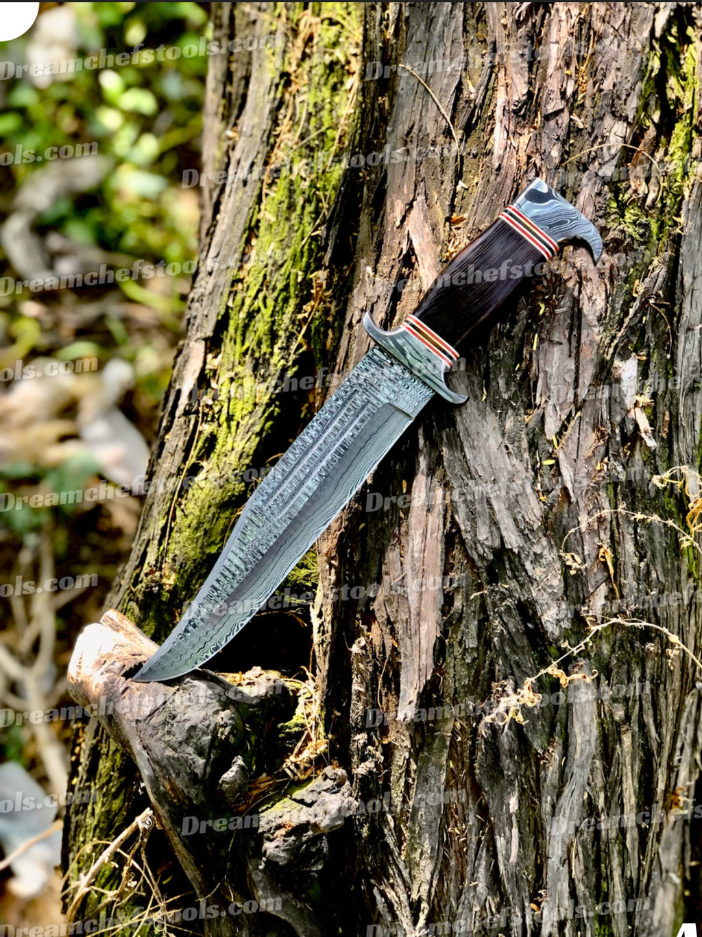 Best Custom Handmade 15" Damascus Steel Bowie Knife with Damascus Steel Guard and Colored Bone Handle – Includes Leather Sheath
