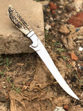 Best Custom Handmade D2 Steel Fishing Fillet Knife - Stag Horn Handle with Steel Bolster & Leather Sheath | Top Flexible Fillet Knives