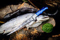 Custom Handmade Angling Knife – Damascus Steel Fishing Knife with Resin Handle & Leather Sheath