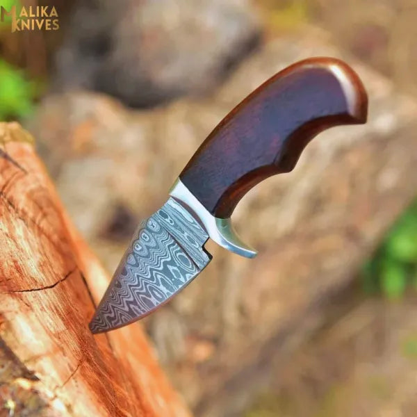 Mini Damascus hunting knife with a rosewood handle from MALIKA KNIVES, showcasing a sleek blade and polished wood grip.