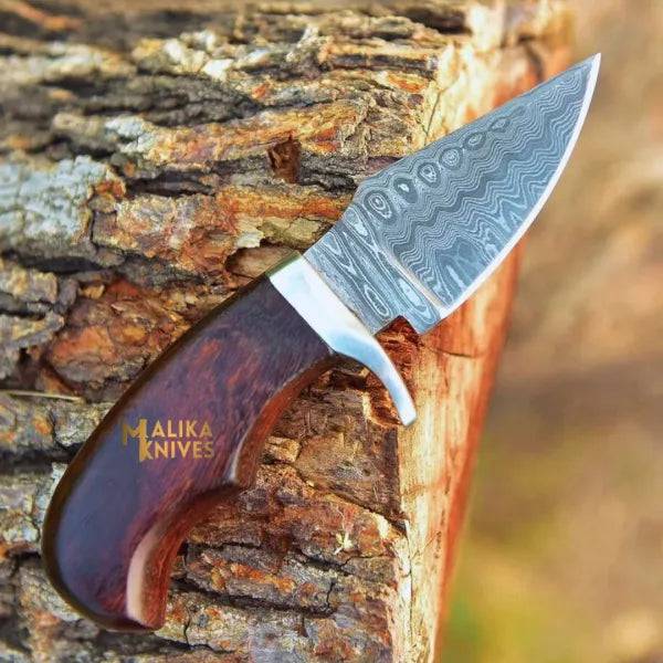 Mini Damascus hunting knife with rosewood handle by MALIKA KNIVES, showcasing a sleek blade and polished wooden grip.