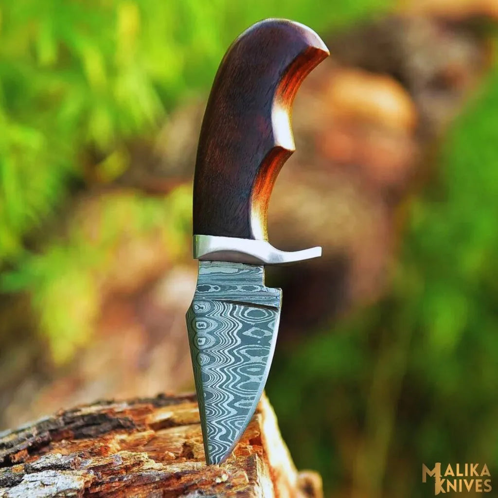 Mini Damascus hunting knife with rosewood handle by MALIKA KNIVES, featuring a sharp blade and polished wood grip.