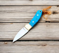 Custom handmade California coyote skinning knife by cskforged with steel blade, resin brass bolster handle, and leather sheath.