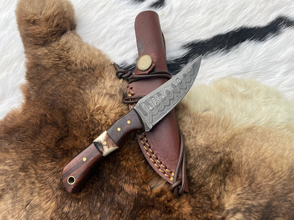 Titan TK-060 Damascus Steel Skinner Knife with rosewood and stag grip, showcasing a polished blade and detailed handle design.