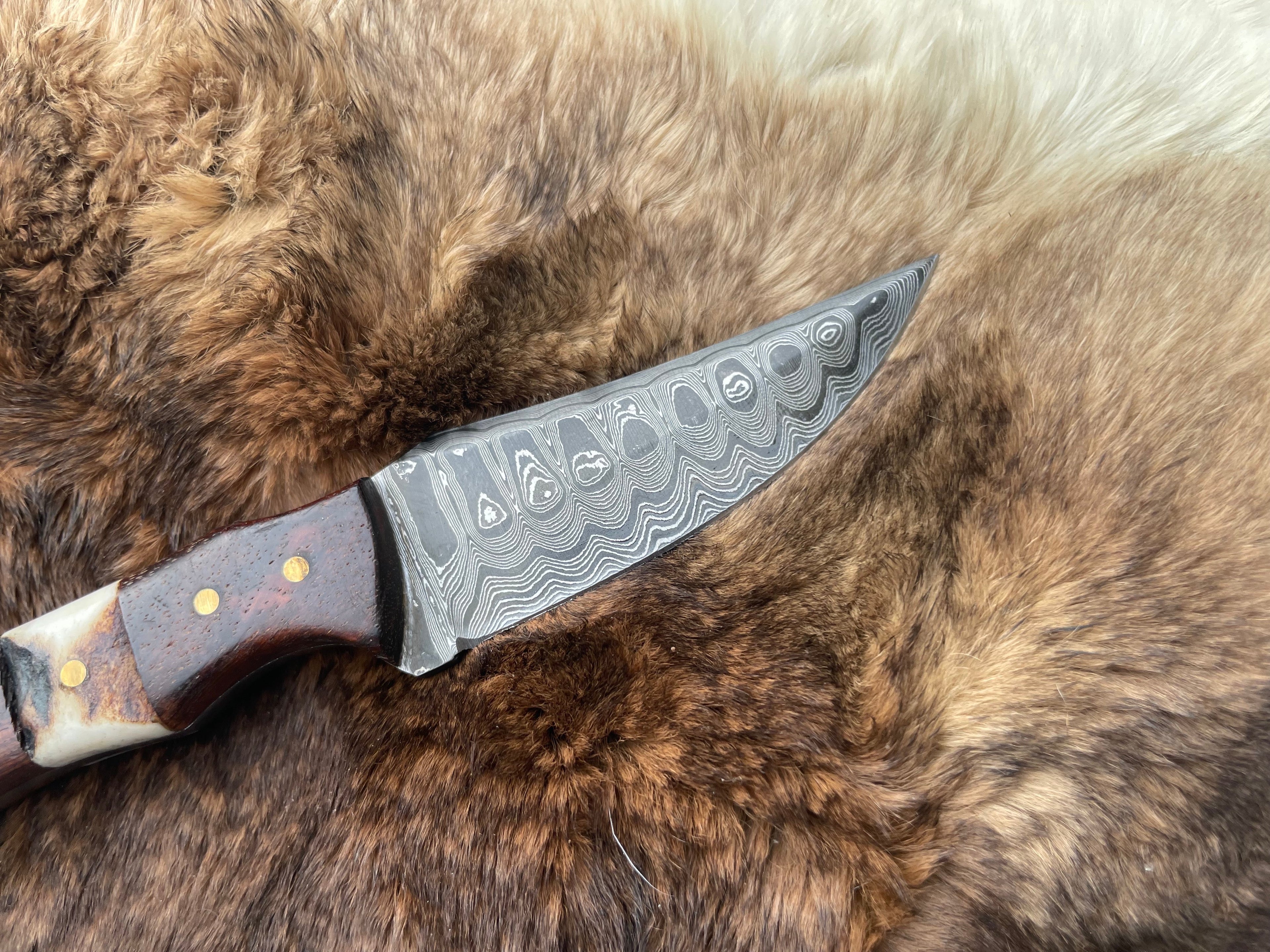 Titan TK-060 Damascus Steel Skinner Knife with rosewood and stag grip, detailed blade and handle in close-up image.