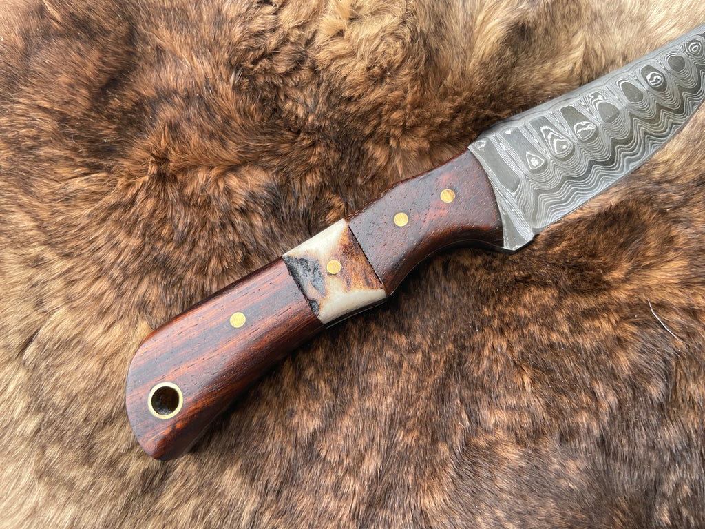 Titan TK-060 Damascus steel skinning knife with rosewood and stag handle, detailed close-up of blade and grip design.