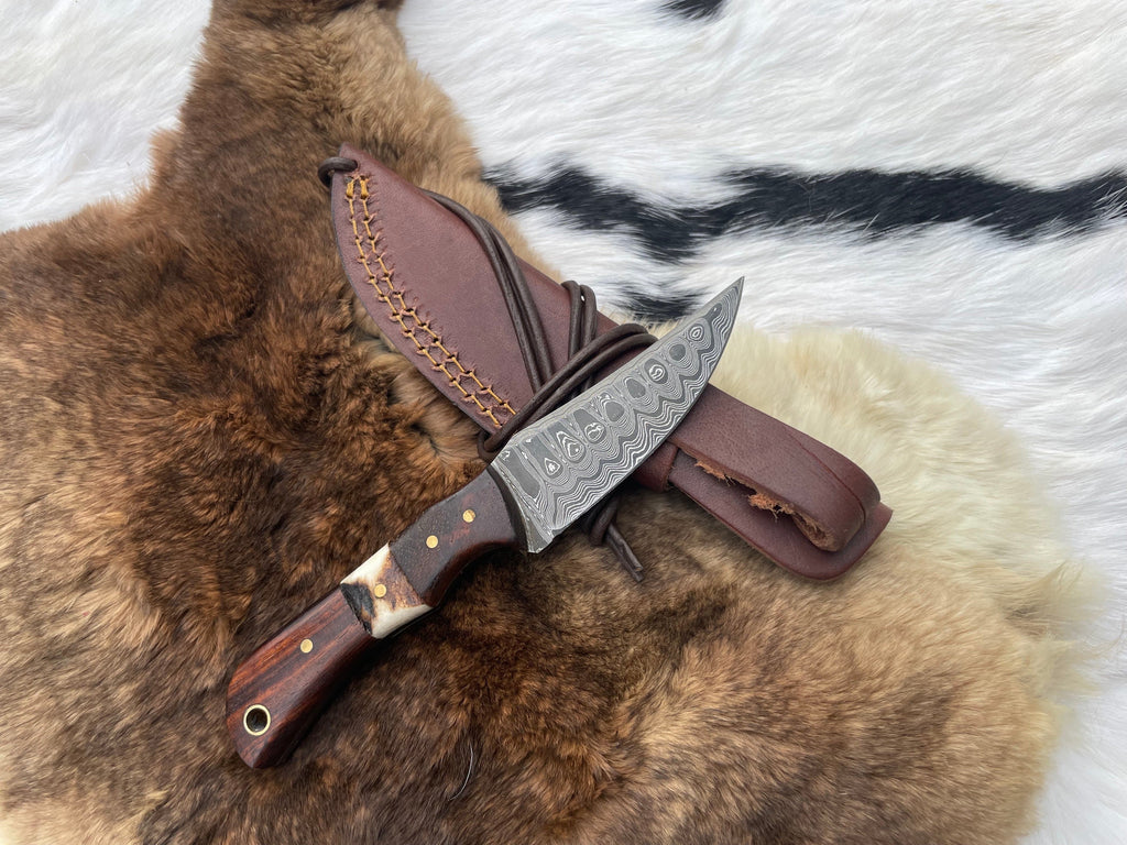 Titan TK-060 Damascus Steel Skinner Knife with rosewood and stag grip, featuring a sharp blade and ergonomic handle design.