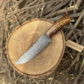 Fixed Blade Knife Damascus Steel Straight Back Blade Red Pine cone Handle