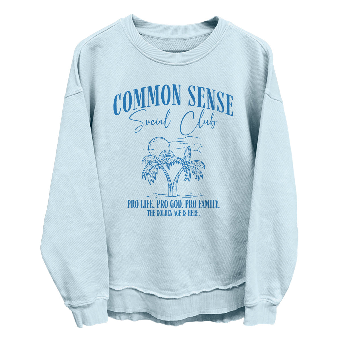 Common Sense Social Club - Light Blue Sweatshirt | Shield Republic