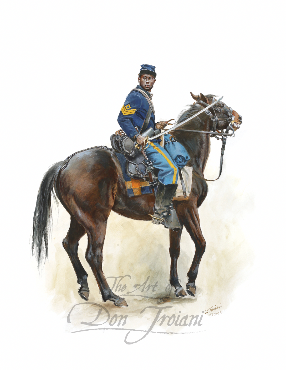 6th Regiment US Colored Cavalry, 1864