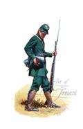 203rd Pennsylvania Volunteers, Birney's Sharpshooters 1864-65
