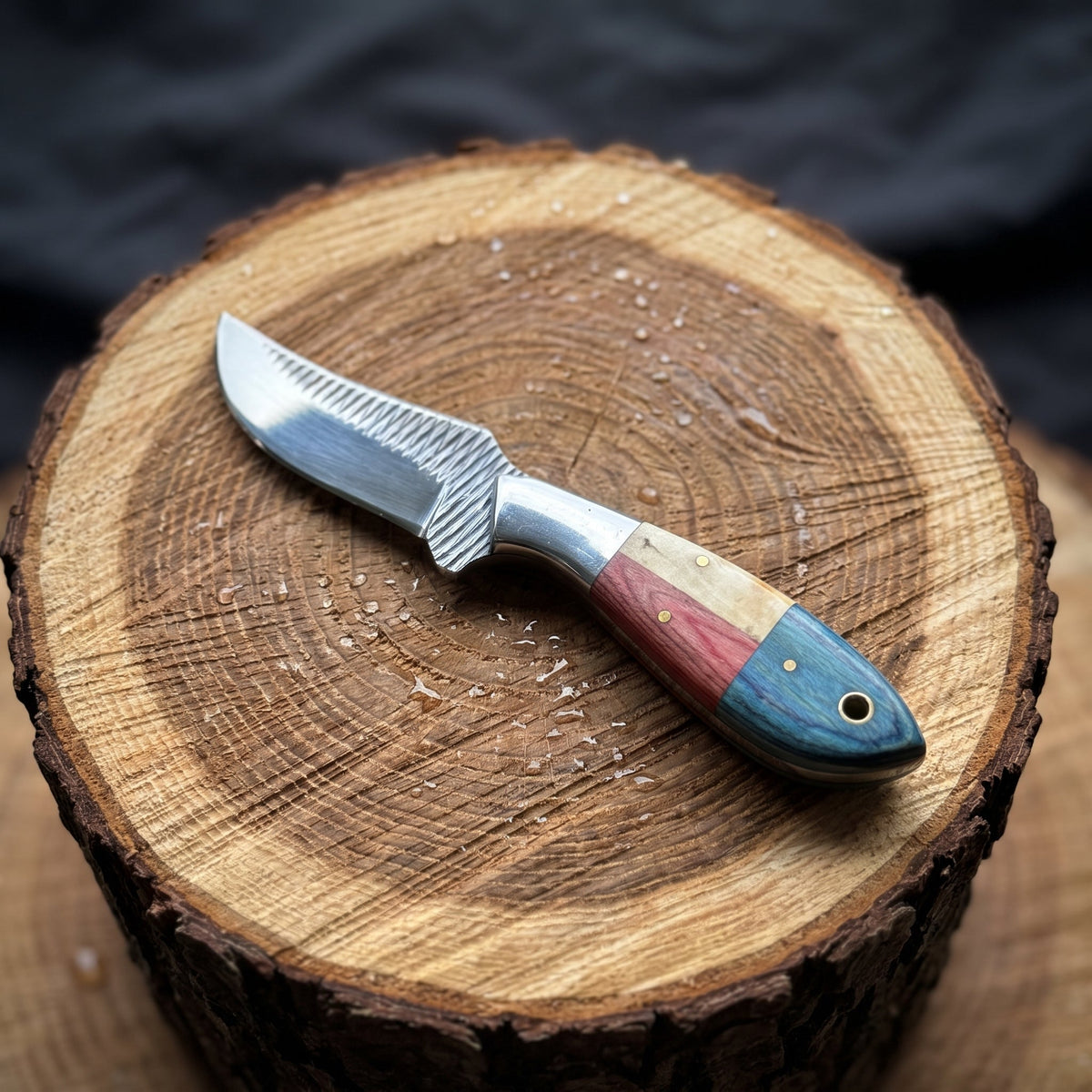 Titan "Heritage Grain" Skinner | High Carbon RASP Steel Blade, Color-Block Wood Handle TIK-012