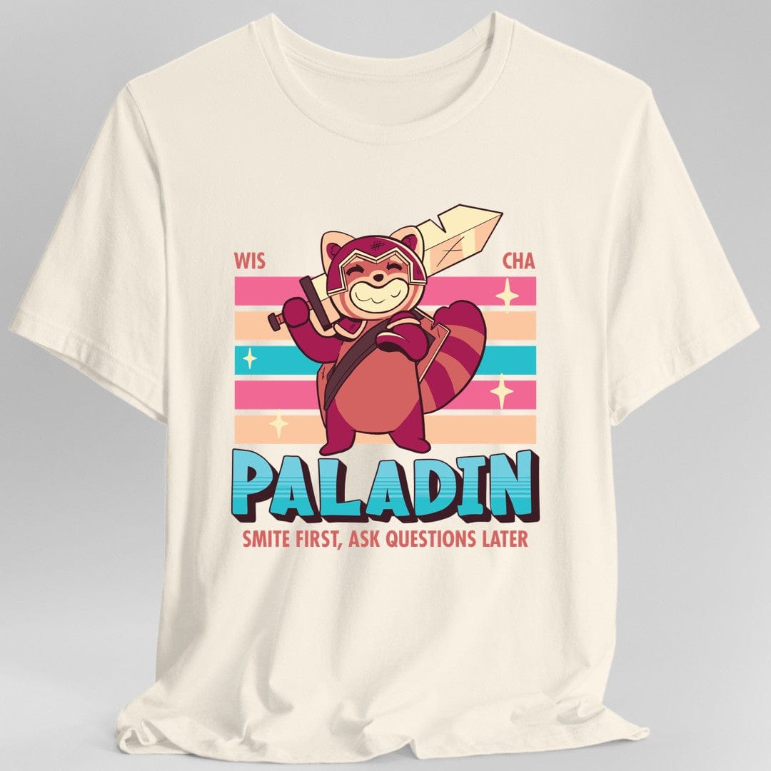 D&D Paladin Shirt - D&D Kawaii Class T-shirt
