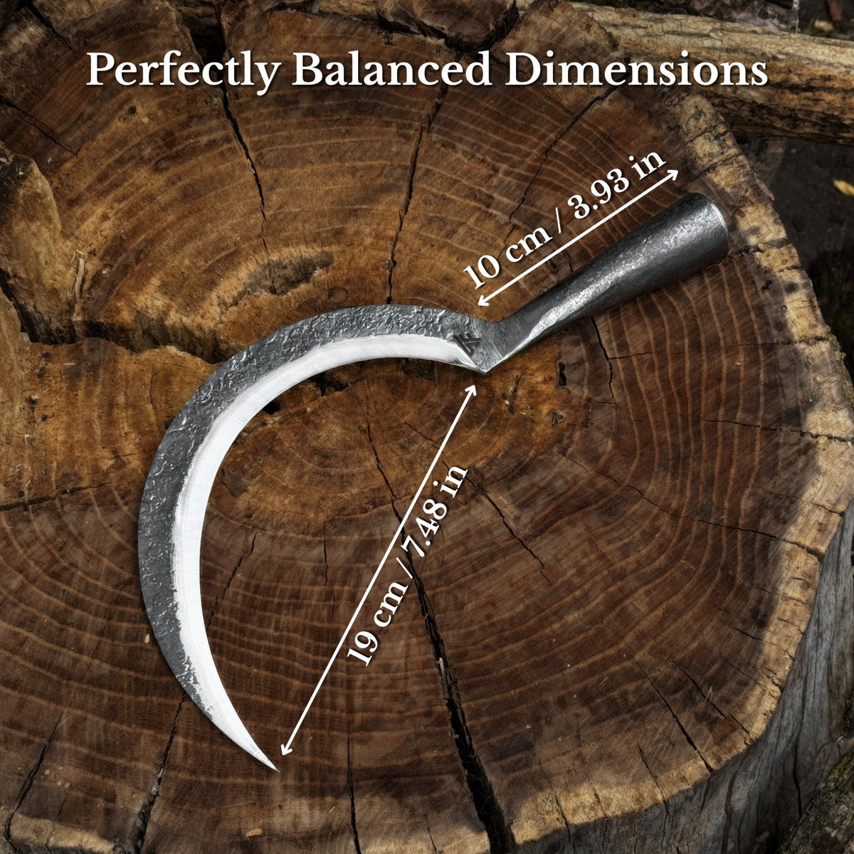 Hand-forged large sickle by Sharky Forged Steel Tools, 19 cm diameter, with curved blade for harvesting or gardening.