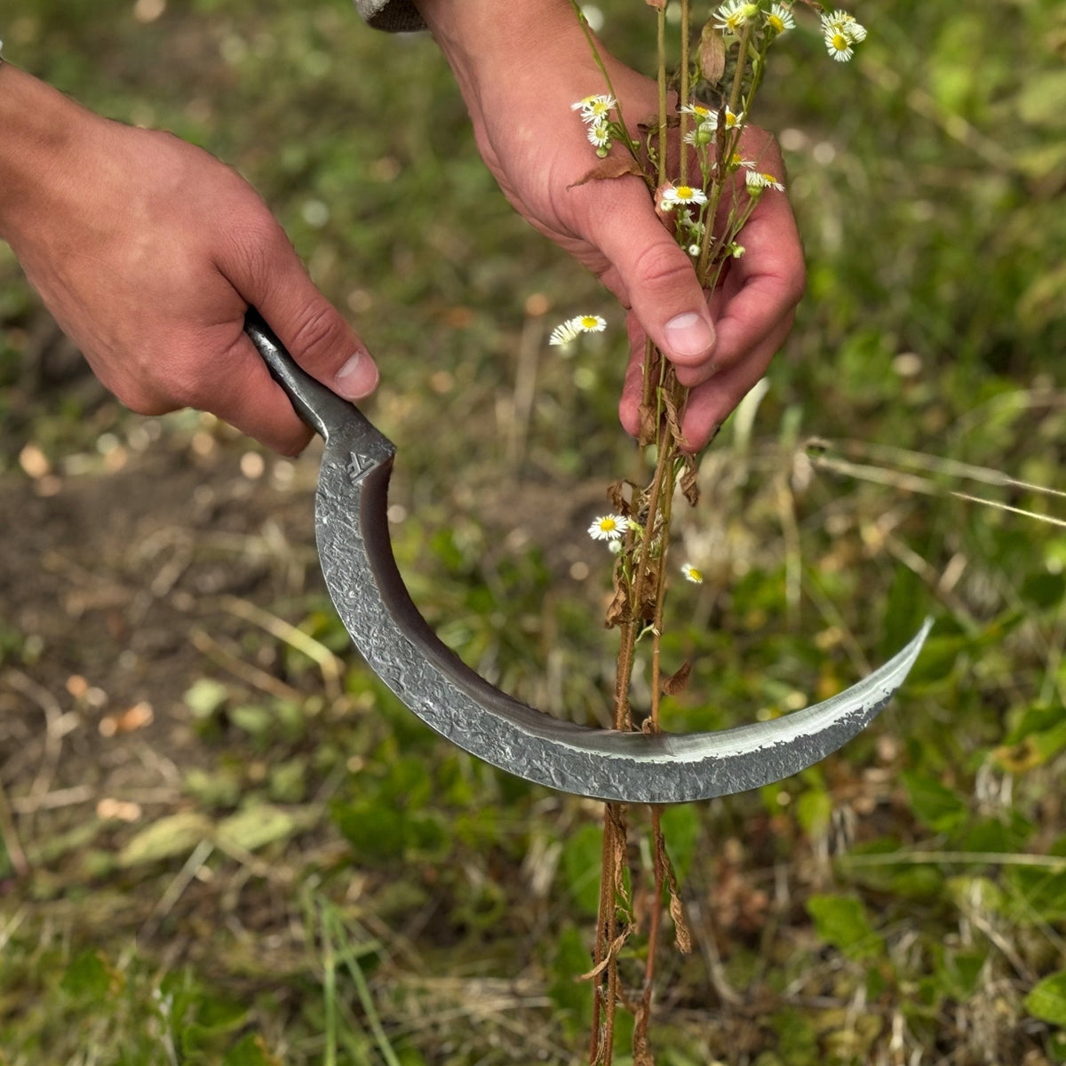 Hand-forged large sickle by Sharky Forged Steel Tools with a 19 cm blade, featuring a curved, durable steel blade for gardening and harvesting.