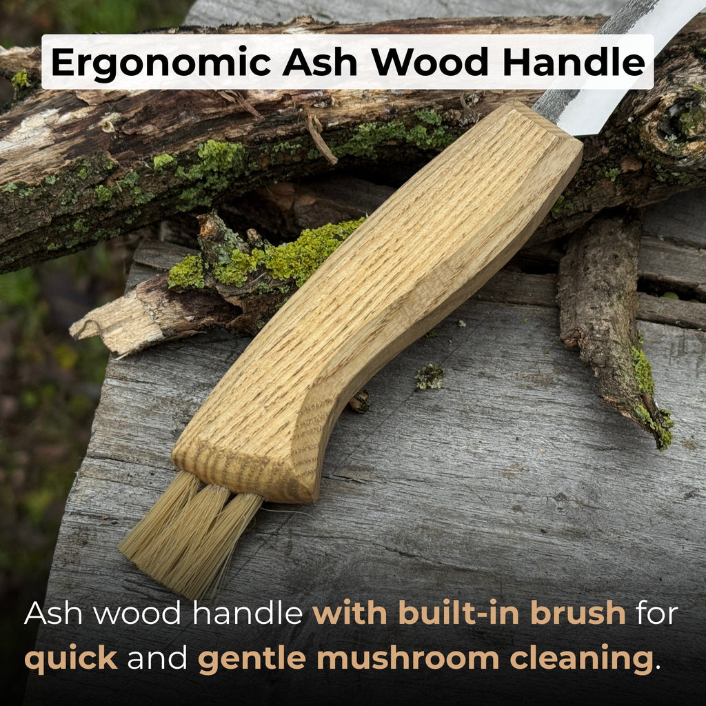 Mushroom Knife with Brush For Harvesting, 7.5 cm (2.95 inches)