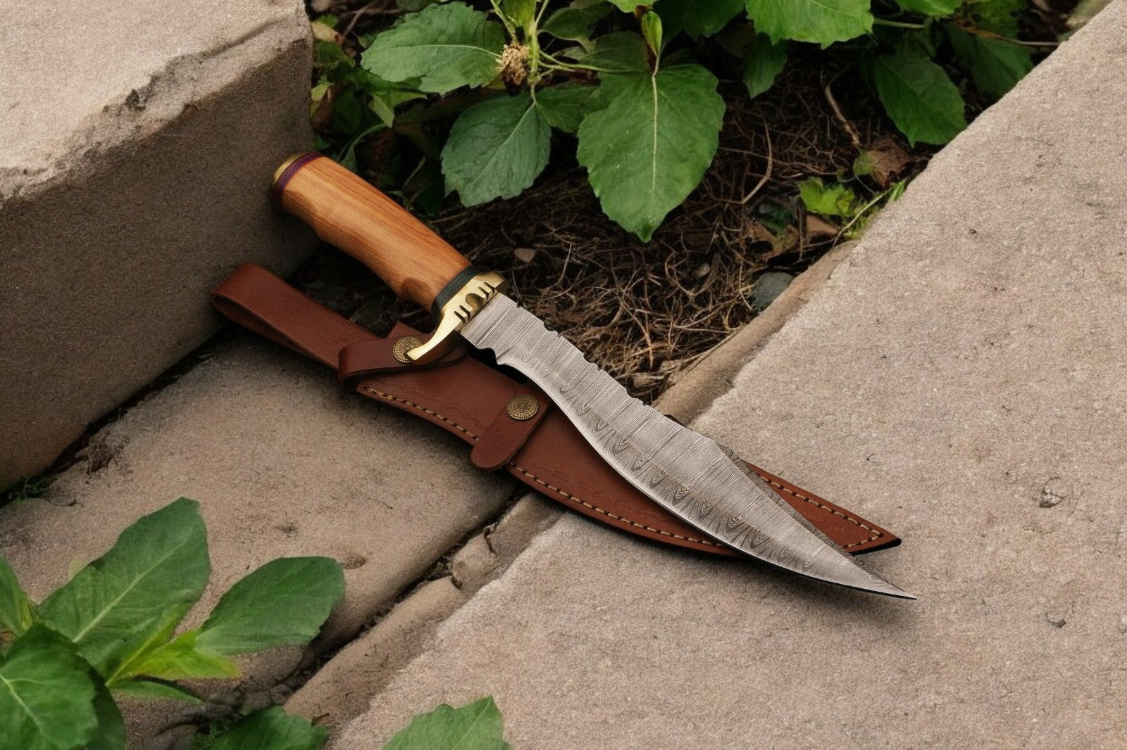 Handmade Damascus Bowie Knife with Olive Wood Handle