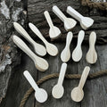 Set of 12 Linden Wood Spoon Carving Blanks